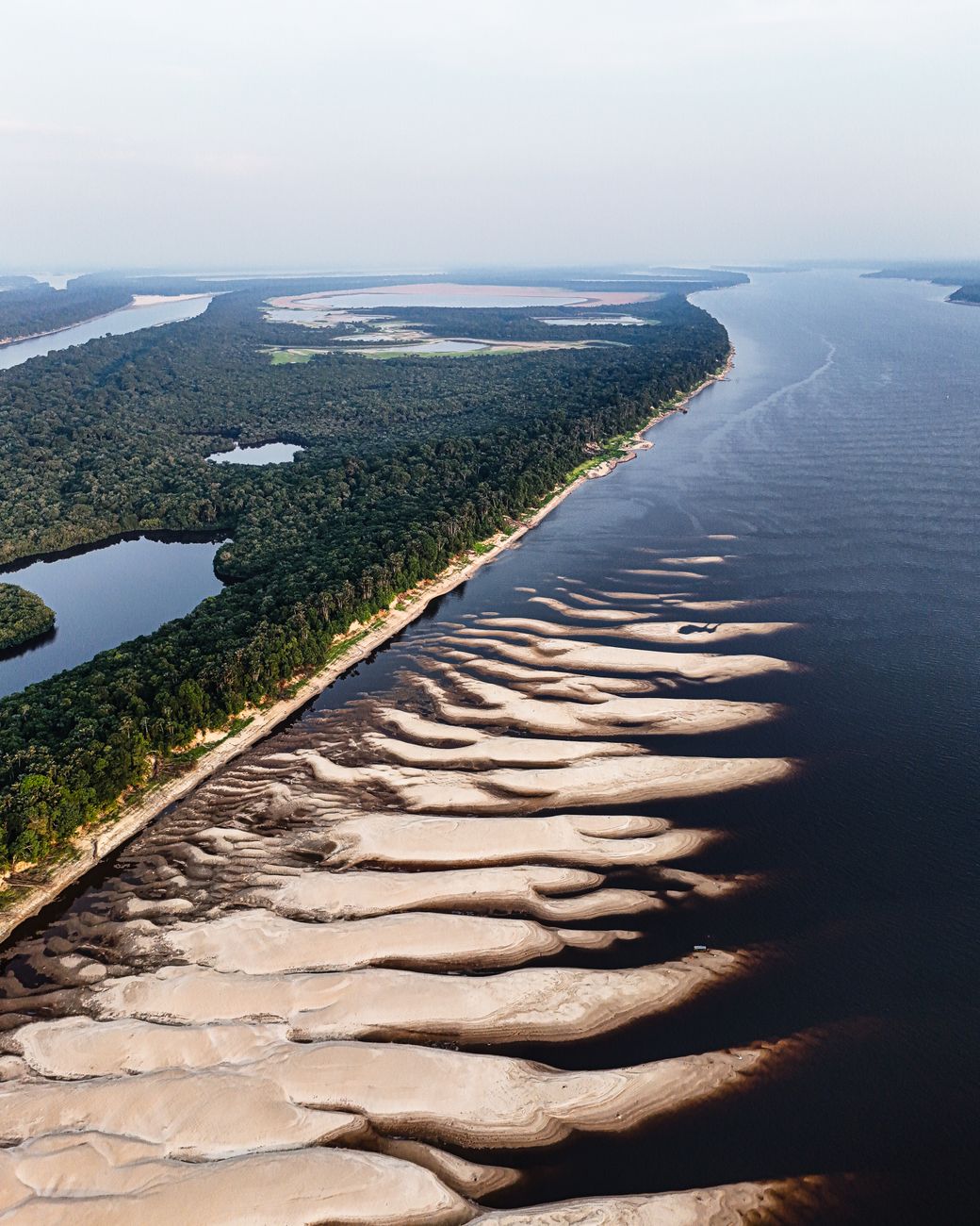Paisagem exuberante da floresta tropical brasileira com rios e montanhas ao pôr do sol